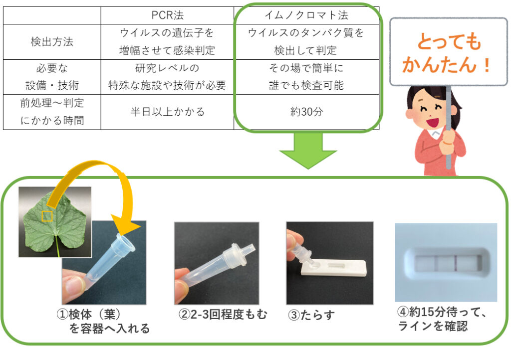従来の検査方法(PCR法)と本製品(イムノクロマト法)の比較イメージ図