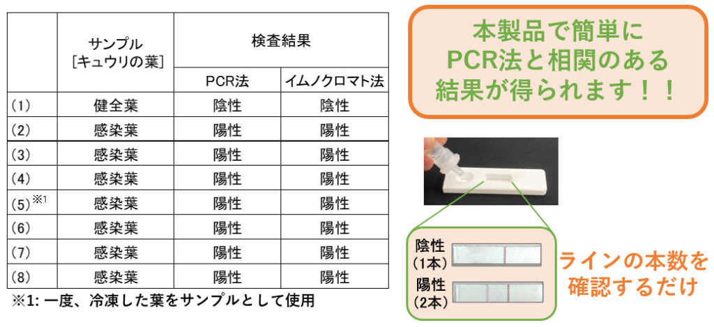 PCR法とイムノクロマト法で試験を行い、判定結果を比較した結果